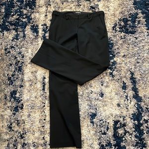 Express Columnist Women’s Pants